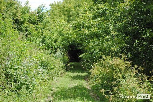 Відпочинок під Луцьком. Коршів